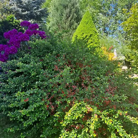 Ferienhaus Dom W Karkonoszach Z Basenem 7 Sypialni *