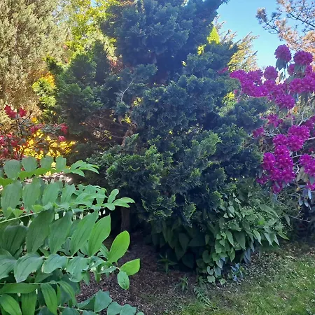 Dom W Karkonoszach Z Basenem 7 Sypialni *