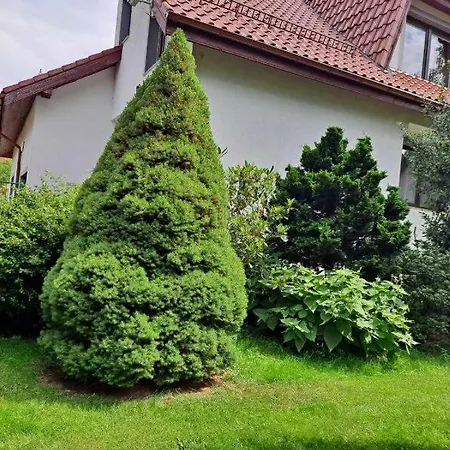 Dom W Karkonoszach Z Basenem 7 Sypialni Ferienhaus