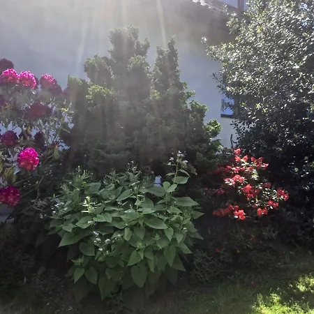 Dom W Karkonoszach Z Basenem 7 Sypialni Kowary