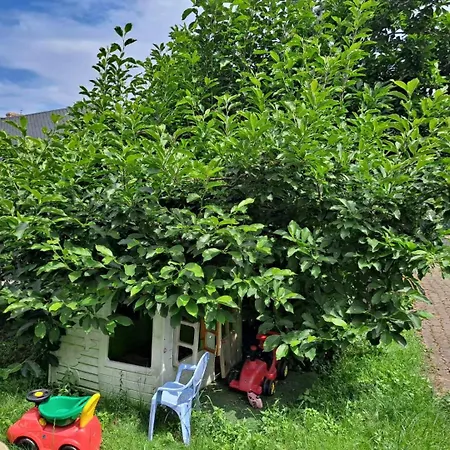 Ferienhaus Dom W Karkonoszach Z Basenem 7 Sypialni *