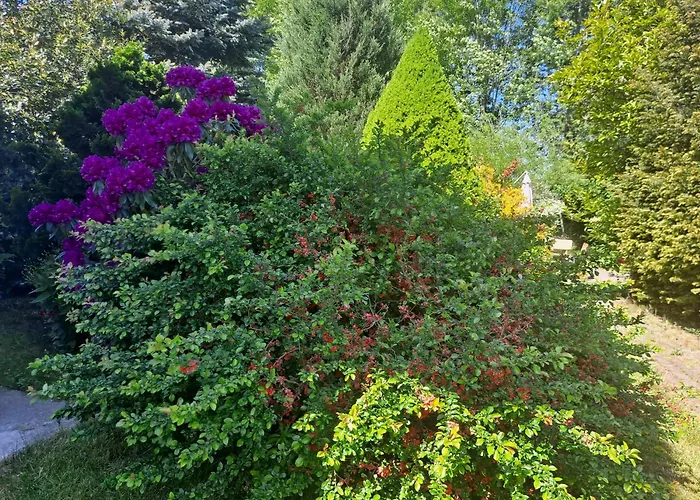 Dom wakacyjny Dom W Karkonoszach Z Basenem 7 Sypialni *