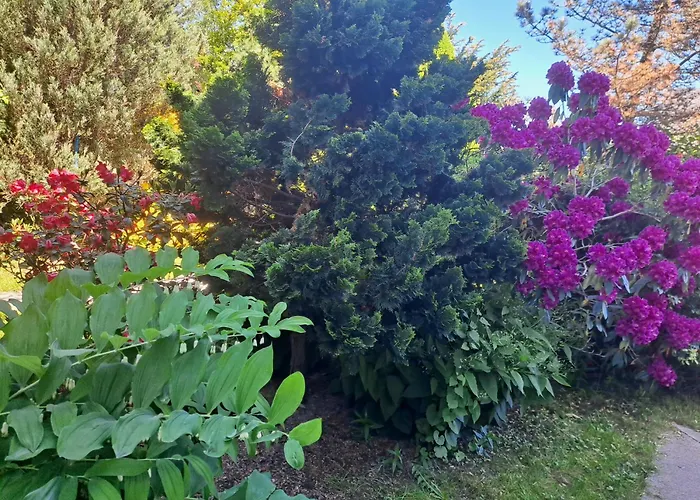 Dom W Karkonoszach Z Basenem 7 Sypialni *