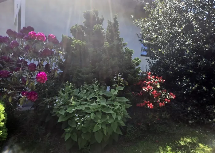 Dom W Karkonoszach Z Basenem 7 Sypialni Kowary