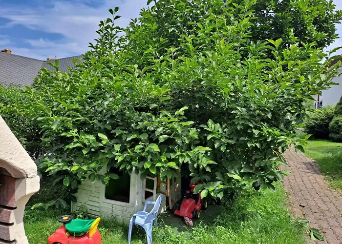 Dom wakacyjny Dom W Karkonoszach Z Basenem 7 Sypialni *